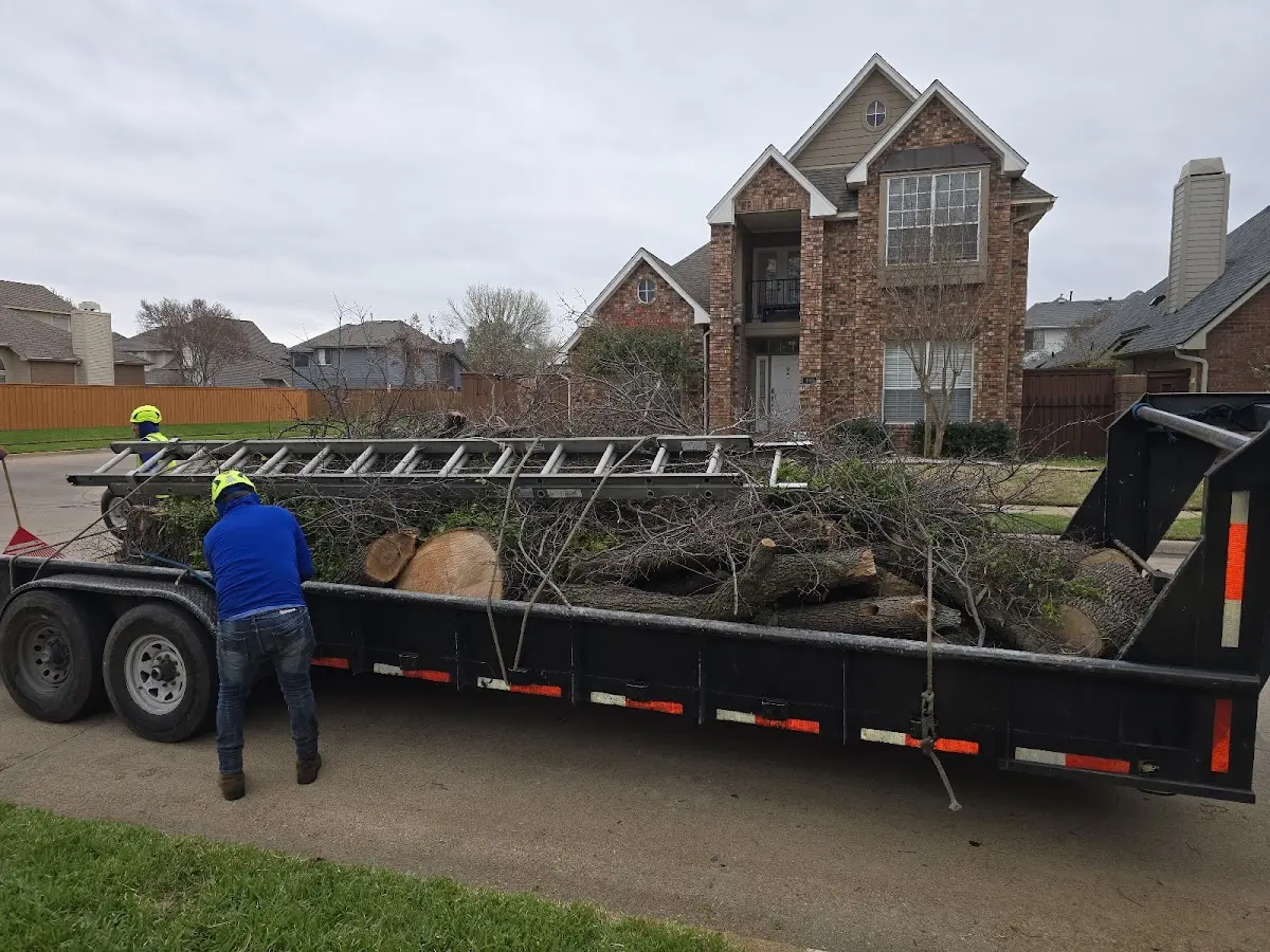 Expert Tree Fertilization with proper safety equipment in Slayton
